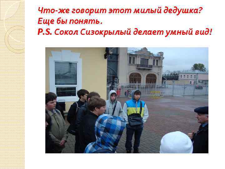 Что-же говорит этот милый дедушка? Еще бы понять. P. S. Сокол Сизокрылый делает умный