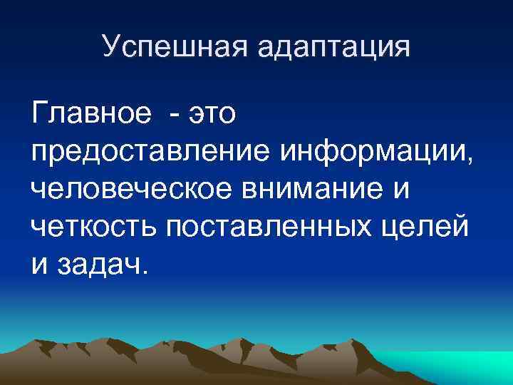 Успешная адаптация Главное - это предоставление информации, человеческое внимание и четкость поставленных целей и