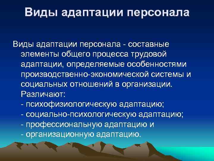 Виды адаптации персонала - составные элементы общего процесса трудовой адаптации, определяемые особенностями производственно-экономической системы