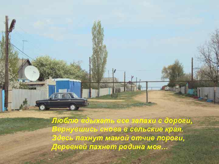 Люблю вдыхать все запахи с дороги, Вернувшись снова в сельские края. Здесь пахнут мамой