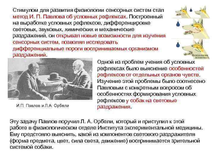Стимулом для развития физиологии сенсорных систем стал метод И. П. Павлова об условных рефлексах.
