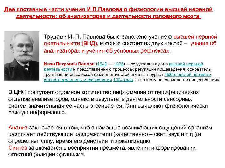 Две составные части учения И. П. Павлова о физиологии высшей нервной деятельности: об анализаторах