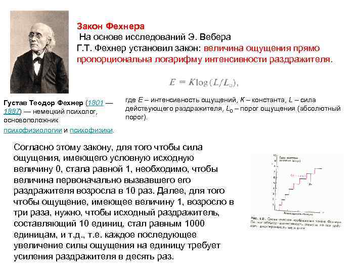 Закон Фехнера На основе исследований Э. Вебера Г. Т. Фехнер установил закон: величина ощущения