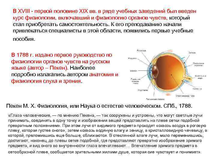 В XVIII - первой половине XIX вв. в ряде учебных заведений был введен курс
