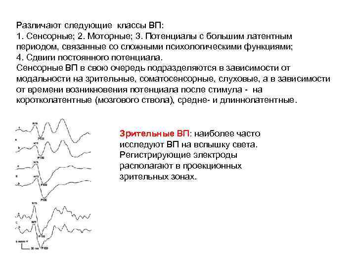 Различают следующие классы ВП: 1. Сенсорные; 2. Моторные; 3. Потенциалы с большим латентным периодом,