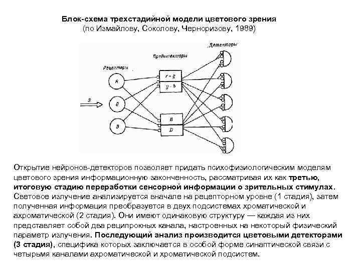 Блок-схема трехстадийной модели цветового зрения (по Измайлову, Соколову, Черноризову, 1989) Открытие нейронов-детекторов позволяет придать