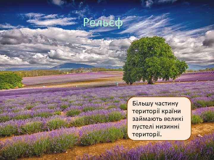 Рельєф Більшу частину території країни займають великі пустелі низинні території. 