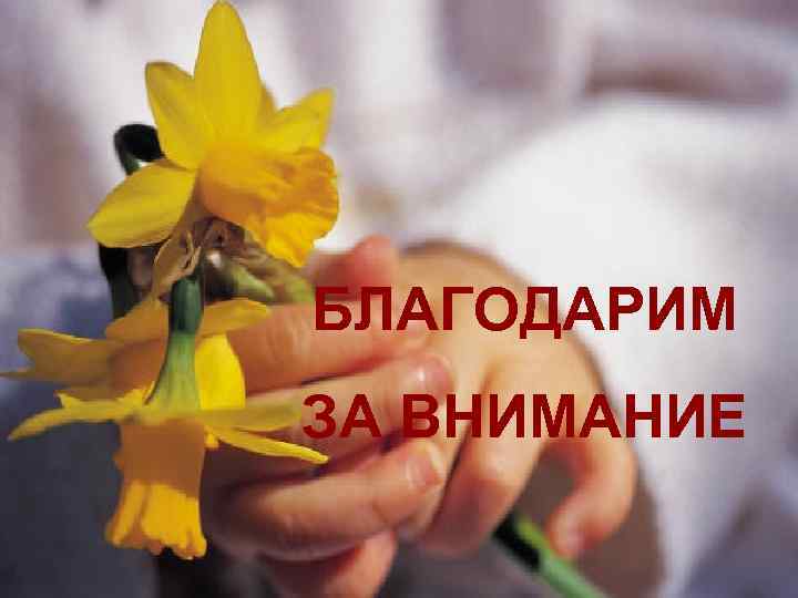 БЛАГОДАРИМ ЗА ВНИМАНИЕ 