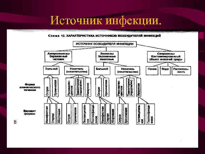 Источник инфекции. 