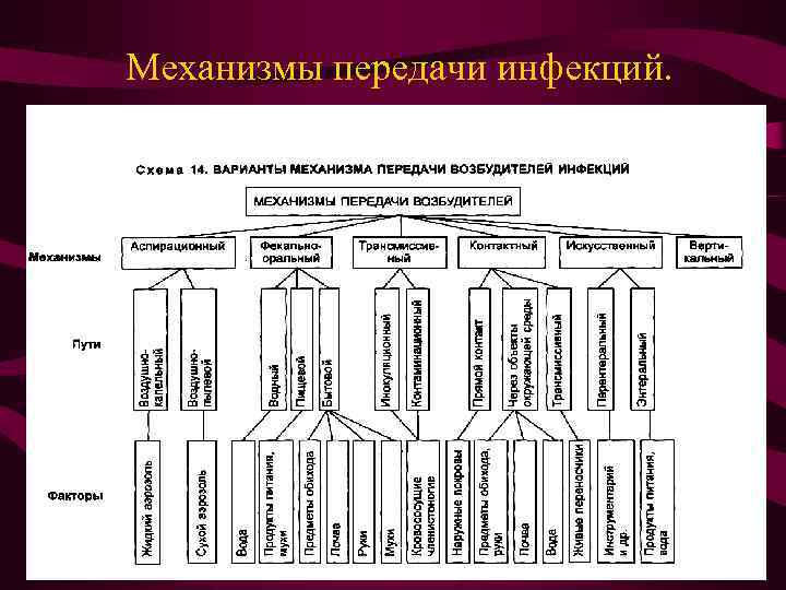 Основной механизм передачи ковид 19. Механизмы пути и факторы передачи инфекции. Механизмы и пути передачи инфекции таблица. Механизмы и пути передачи инфекции схема. Классификация путей и механизмов передачи инфекции.