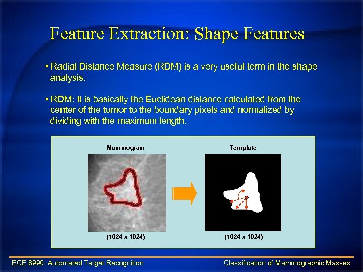 Feature Extraction: Shape Features • Radial Distance Measure (RDM) is a very useful term