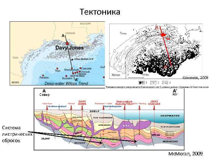 Тектоника А А 1 Конюхов, 2008 Система листрических сбросов Mc. Moran, 2009 