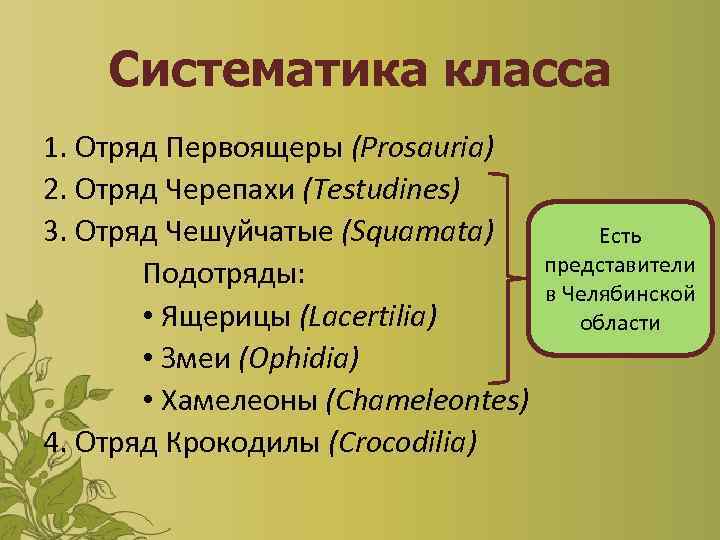 Систематика класса 1. Отряд Первоящеры (Prosauria) 2. Отряд Черепахи (Testudines) 3. Отряд Чешуйчатые (Squamata)