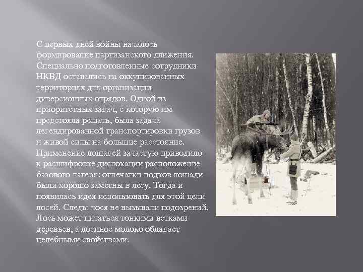 С первых дней войны началось формирование партизанского движения. Специально подготовленные сотрудники НКВД оставались на