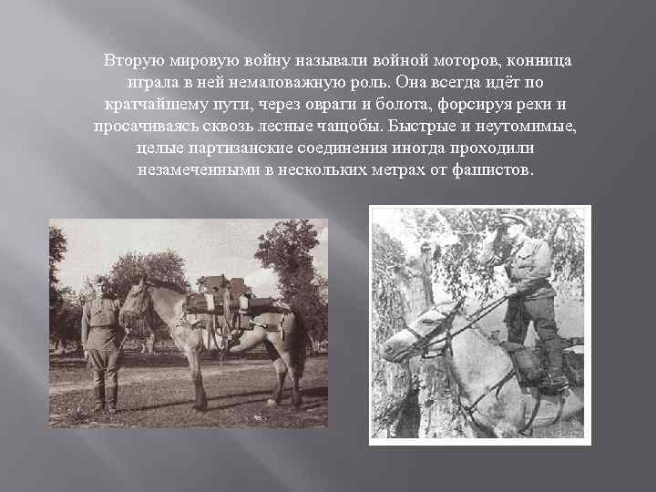  Вторую мировую войну называли войной моторов, конница играла в ней немаловажную роль. Она