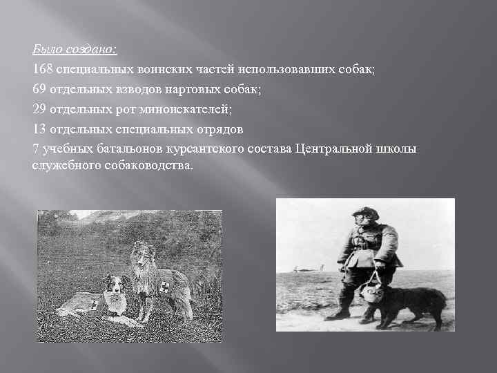 Было создано: 168 специальных воинских частей использовавших собак; 69 отдельных взводов нартовых собак; 29