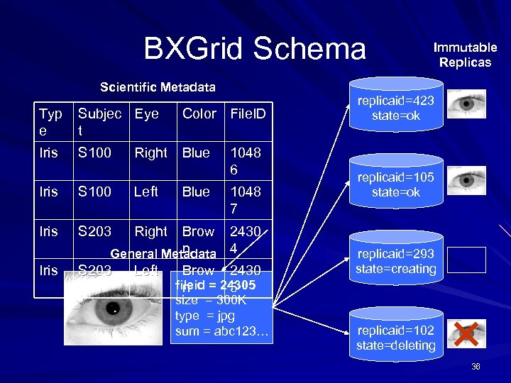 BXGrid Schema Scientific Metadata Typ e Subjec Eye t Iris S 100 Iris Color