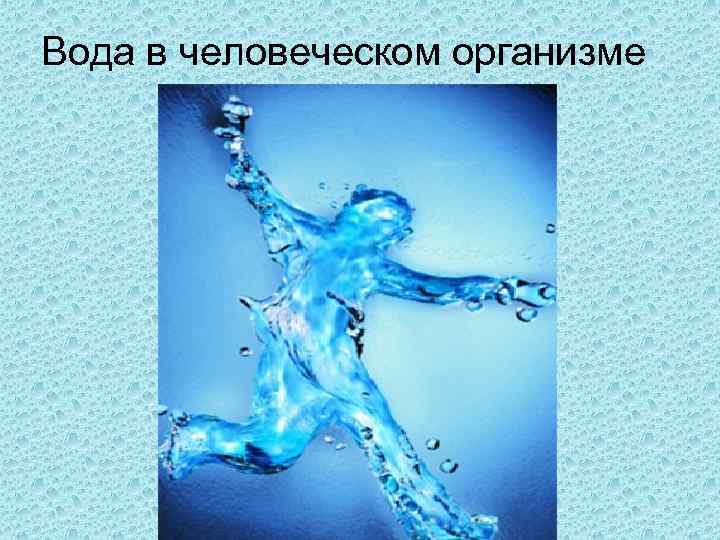 Вода в человеческом организме 