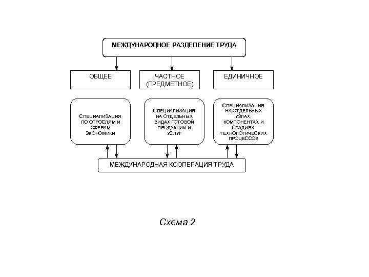 МЕЖДУНАРОДНОЕ РАЗДЕЛЕНИЕ ТРУДА ОБЩЕЕ СПЕЦИАЛИЗАЦИЯ ПО ОТРОСЛЯМ И СФЕРАМ ЭКОНОМИКИ ЧАСТНОЕ (ПРЕДМЕТНОЕ) СПЕЦИАЛИЗАЦИЯ НА