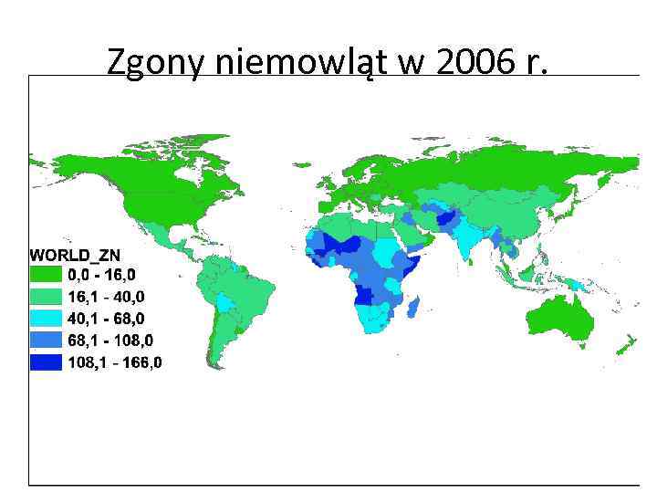 Zgony niemowląt w 2006 r. 