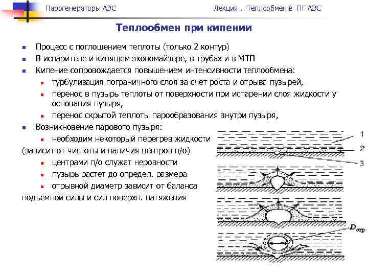 Парогенераторы АЭС Лекция. Теплообмен в ПГ АЭС Теплообмен при кипении Процесс с поглощением теплоты