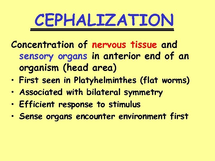 CEPHALIZATION ________ Concentration of nervous tissue and sensory organs in anterior end of an