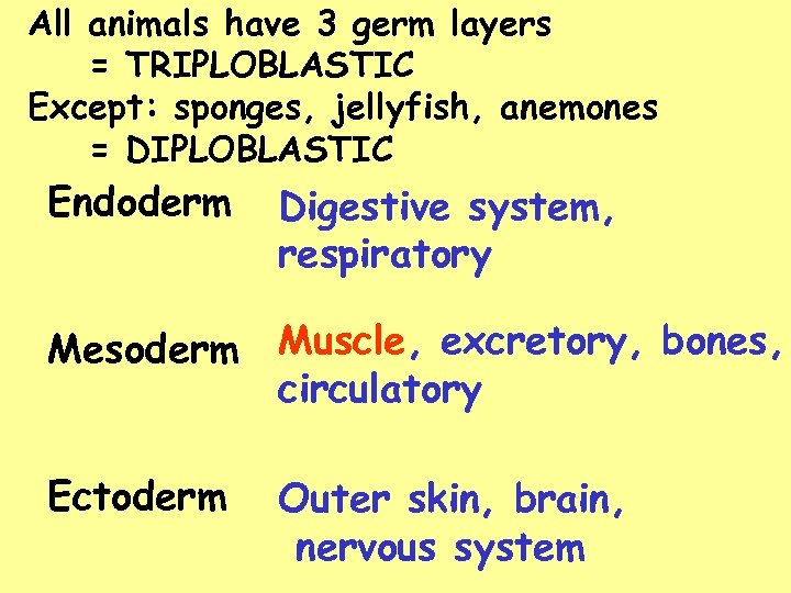 All animals have 3 germ layers = TRIPLOBLASTIC Except: sponges, jellyfish, anemones = DIPLOBLASTIC