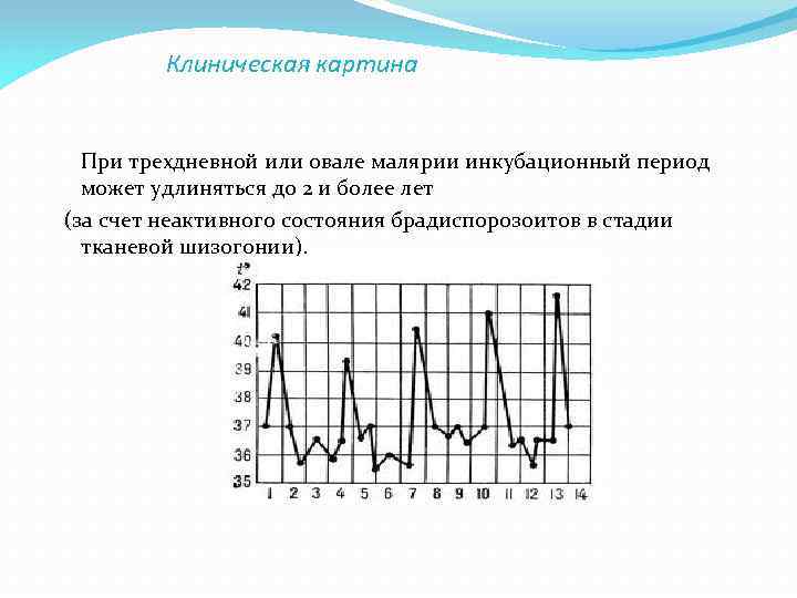 Клиническая картина При трехдневной или овале малярии инкубационный период может удлиняться до 2 и