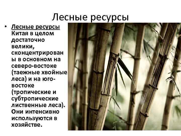 Лесные ресурсы • Лесные ресурсы Китая в целом достаточно велики, сконцентрирован ы в основном