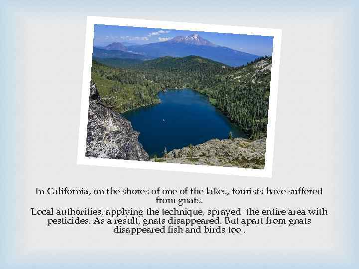 In California, on the shores of one of the lakes, tourists have suffered from