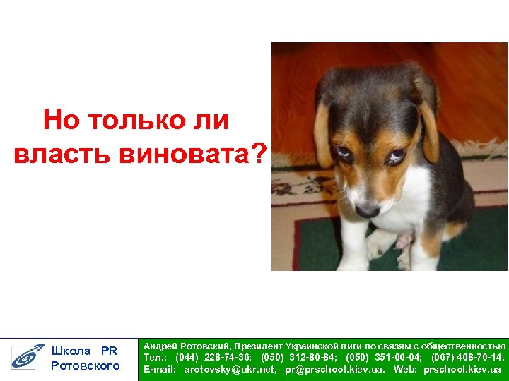 Но только ли власть виновата? Школа PR Ротовского Андрей Ротовский, Президент Украинской лиги по