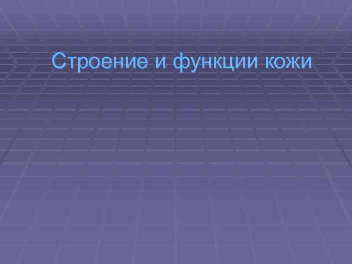Строение и функции кожи 