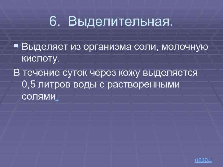 6. Выделительная. § Выделяет из организма соли, молочную кислоту. В течение суток через кожу