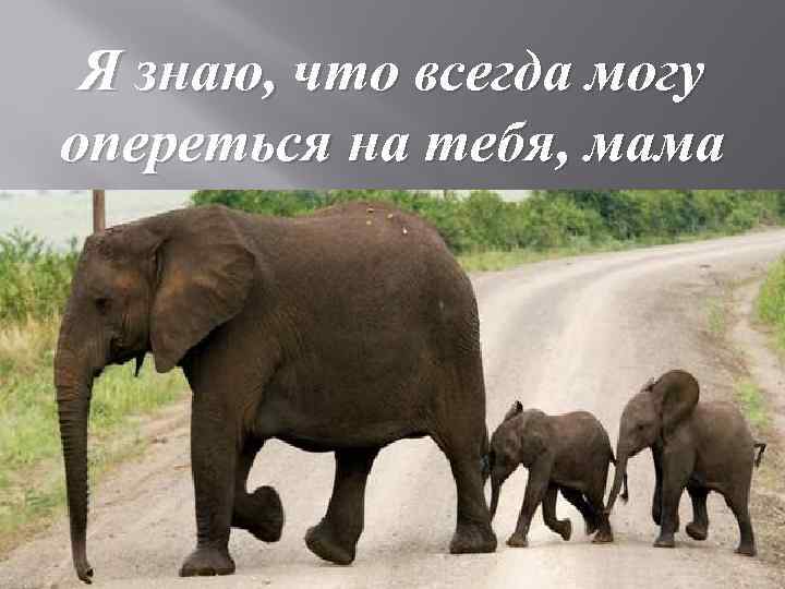 Я знаю, что всегда могу опереться на тебя, мама 