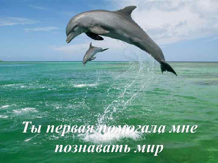 Ты первая помогала мне познавать мир 