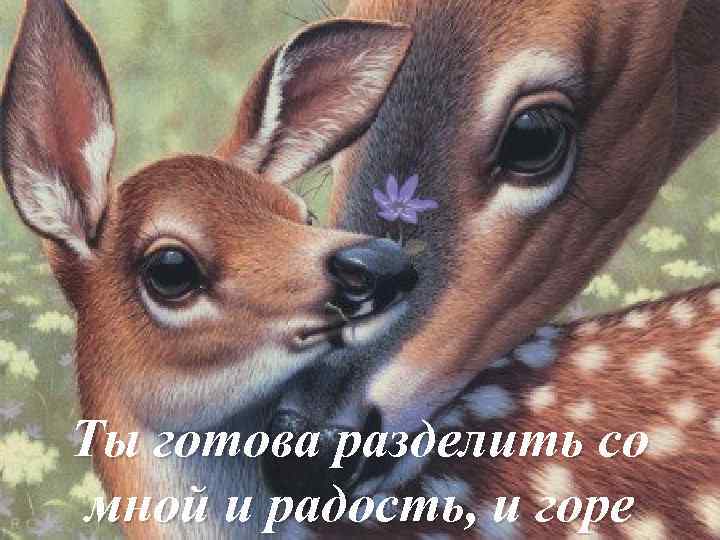 Ты готова разделить со мной и радость, и горе 