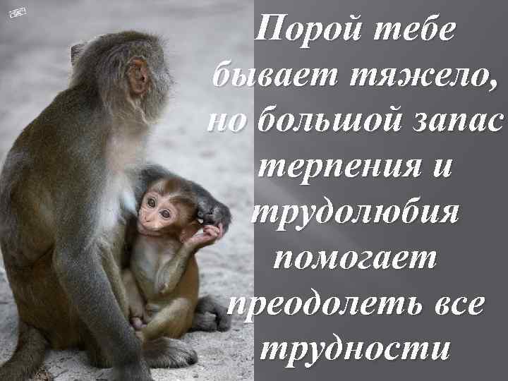 Порой тебе бывает тяжело, но большой запас терпения и трудолюбия помогает преодолеть все трудности