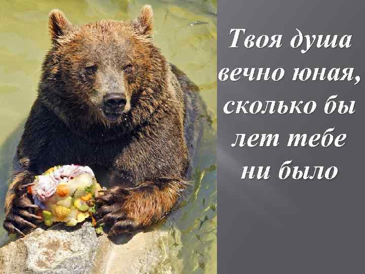 Твоя душа вечно юная, сколько бы лет тебе ни было 