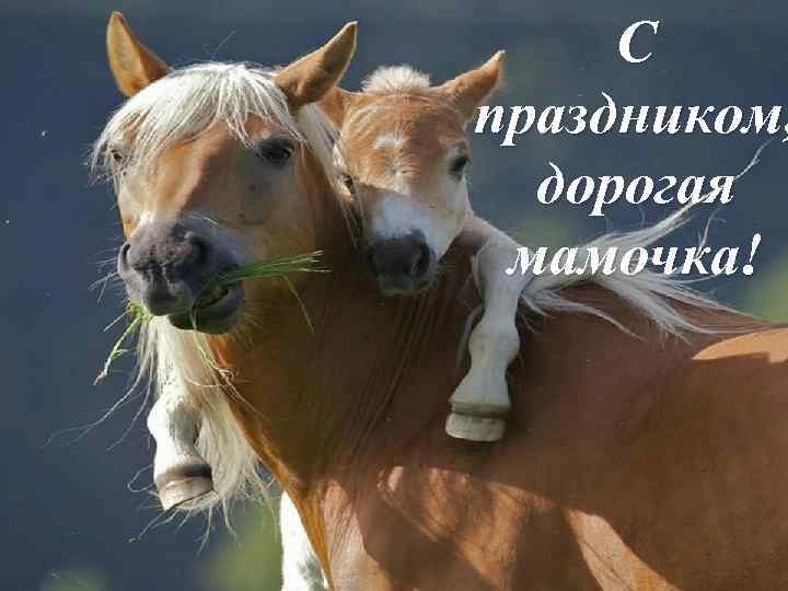 С праздником, дорогая мамочка! 