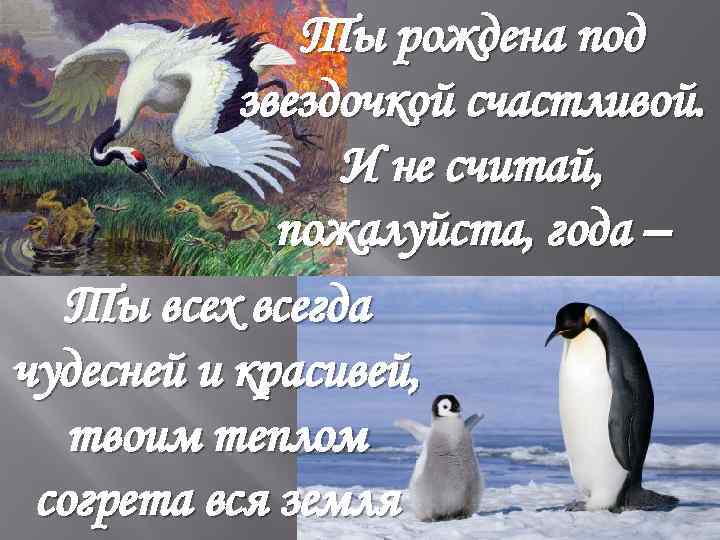 Ты рождена под звездочкой счастливой. И не считай, пожалуйста, года – Ты всех всегда