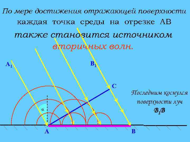 По мере достижения отражающей поверхности каждая точка среды на отрезке АВ также становится источником