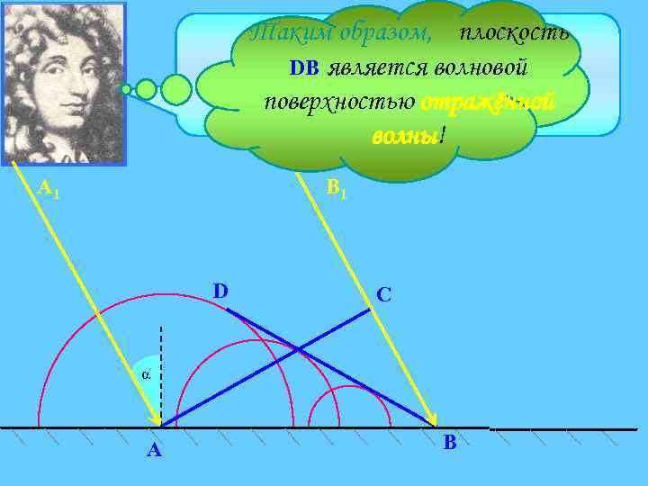 Таким образом, плоскость Поверхность, касательная ко всем вторичным волнам, DB является волновой поверхностью в