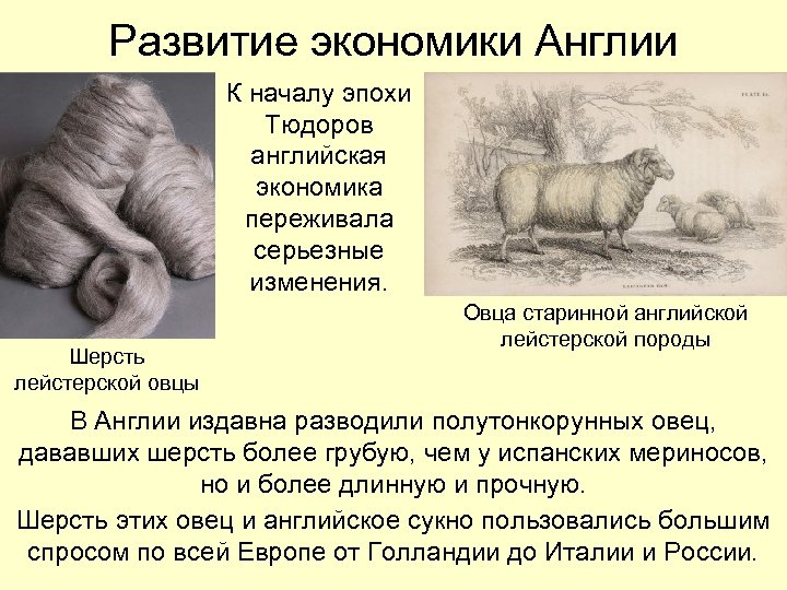 Развитие экономики Англии К началу эпохи Тюдоров английская экономика переживала серьезные изменения. Шерсть лейстерской