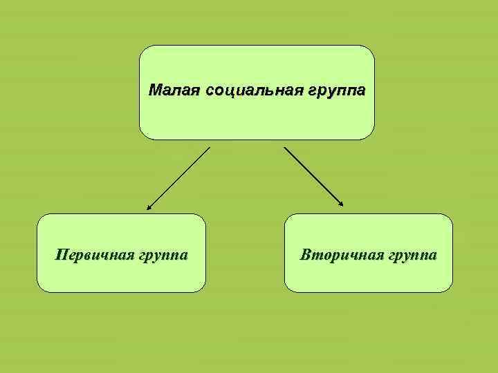 Малая социальная группа Первичная группа Вторичная группа 