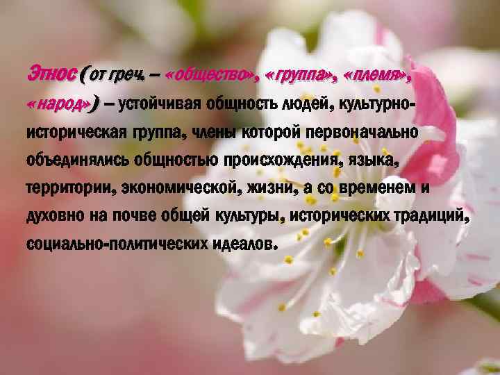 Этнос (от греч. – «общество» , «группа» , «племя» , «народ» ) – устойчивая