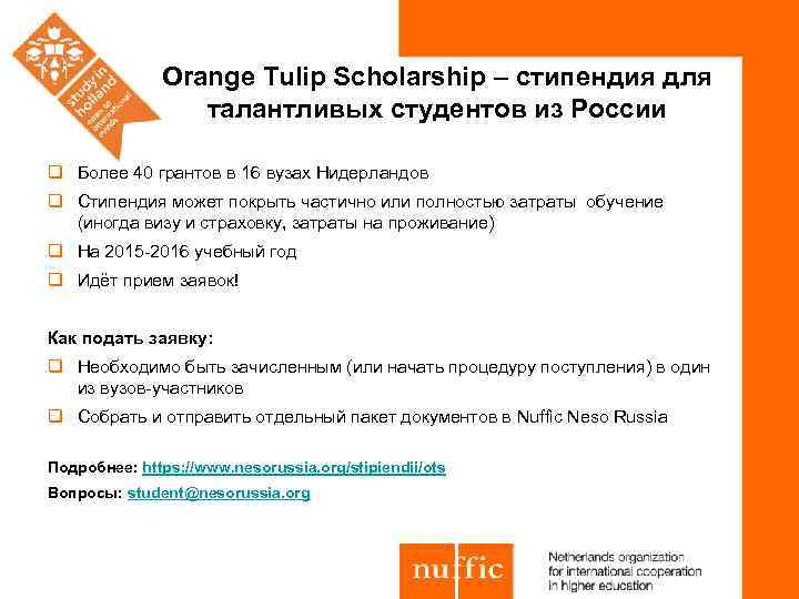 Orange Tulip Scholarship – стипендия для талантливых студентов из России q Более 40 грантов