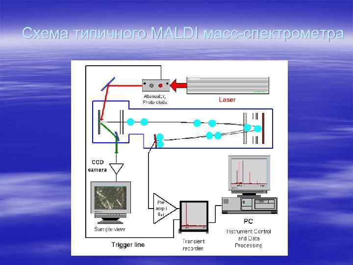Схема типичного MALDI масс-спектрометра 