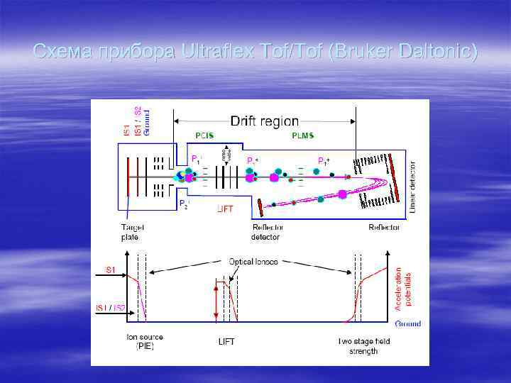 Схема прибора Ultraflex Tof/Tof (Bruker Daltonic) 
