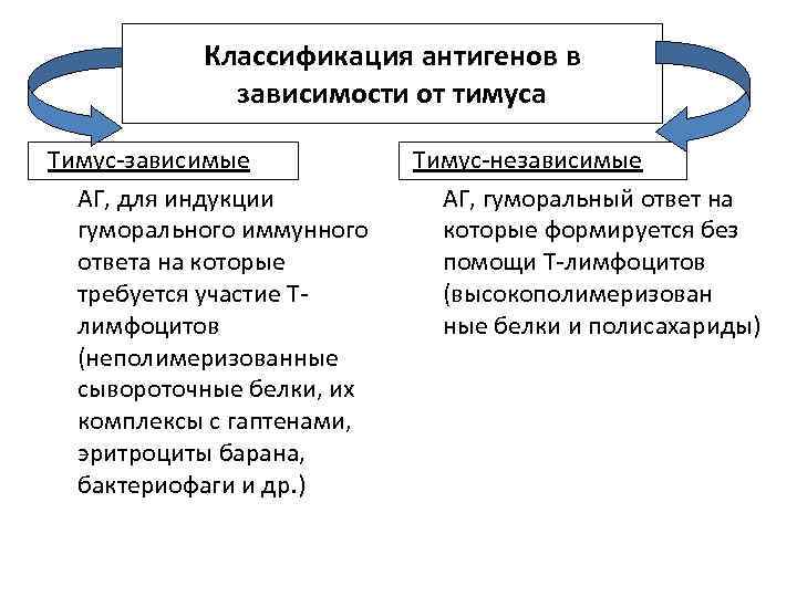 Классификация антигенов в зависимости от тимуса Тимус зависимые АГ, для индукции гуморального иммунного ответа