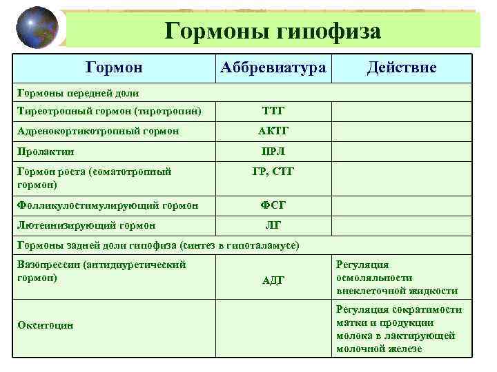 Гормоны гипофиза Гормон Аббревиатура Действие Гормоны передней доли Тиреотропный гормон (тиротропин) Адренокортикотропный гормон Пролактин